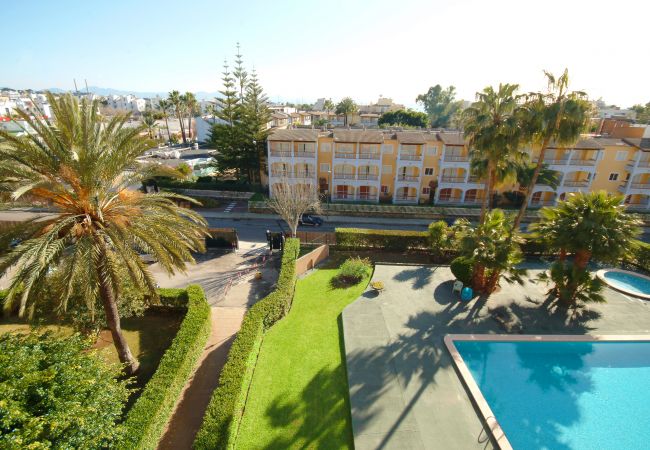 Ferienwohnung in Alcudia - Apartamento Arcoiris