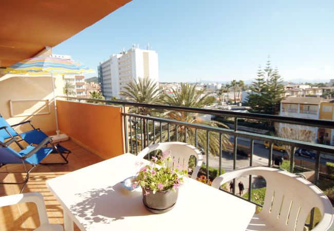 Ferienwohnung in Alcudia - Apartamento Arcoiris