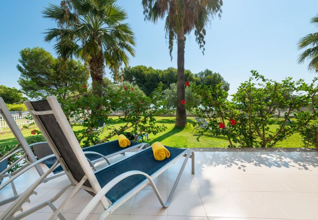 Ferienwohnung in Alcudia - Apartamento Countess Garden C