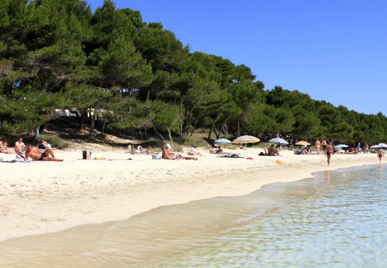 Ferienwohnung in Alcudia - Countess Attic 3.3 (Sun of the Bay 3)