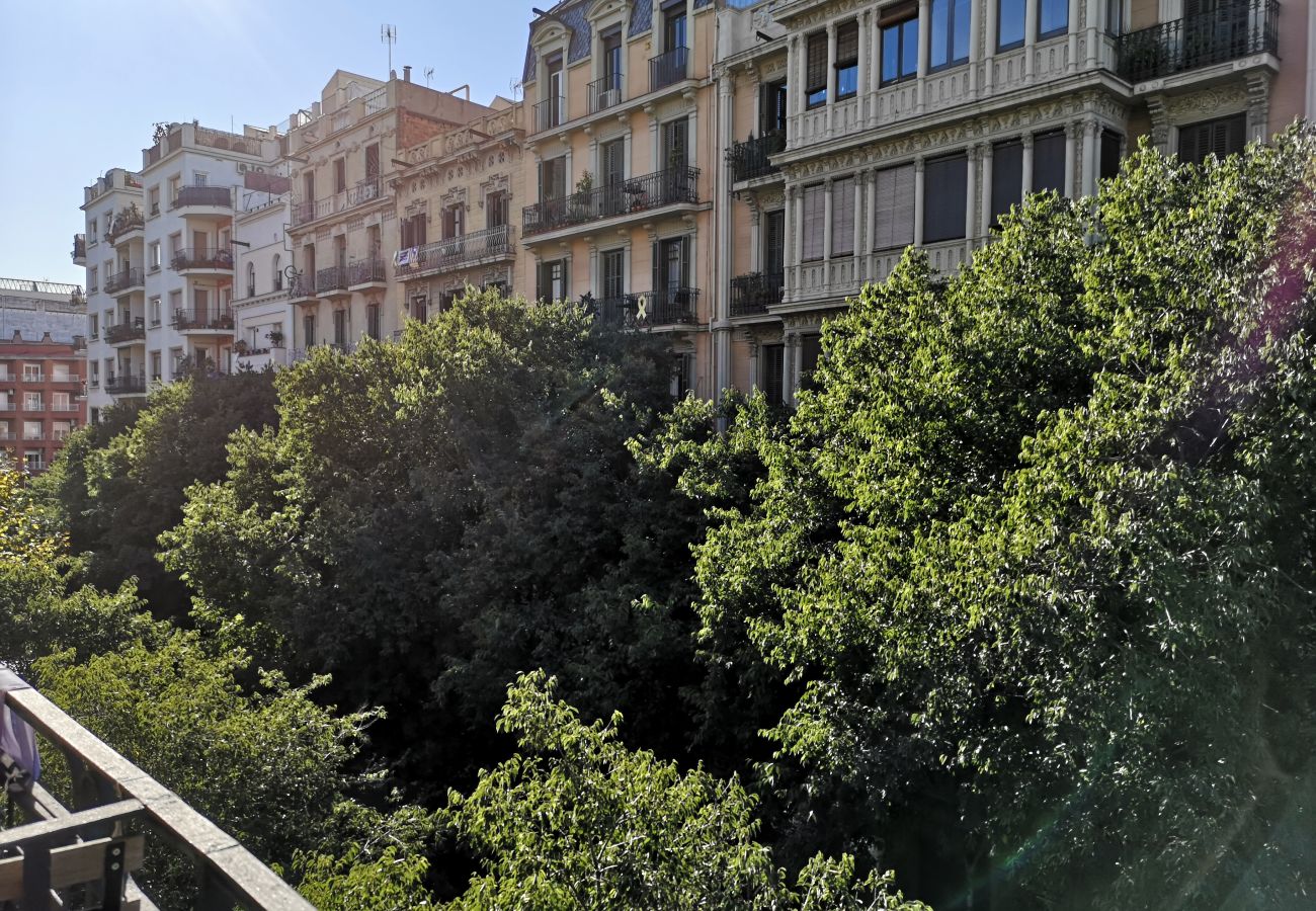 Ferienwohnung in Barcelona - CALABRIA, piso amplio ideal familias o grupos en Eixample, Barcelona centro