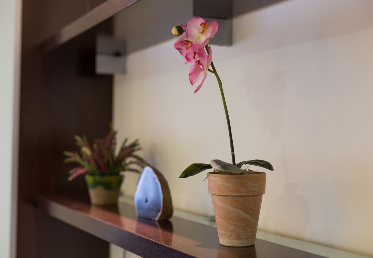 Ferienwohnung in Barcelona - MARQUES, moderno piso renovado de 4 dormitorios en alquiler por días en Barcelona centro, Eixample, Sant Antoni.
