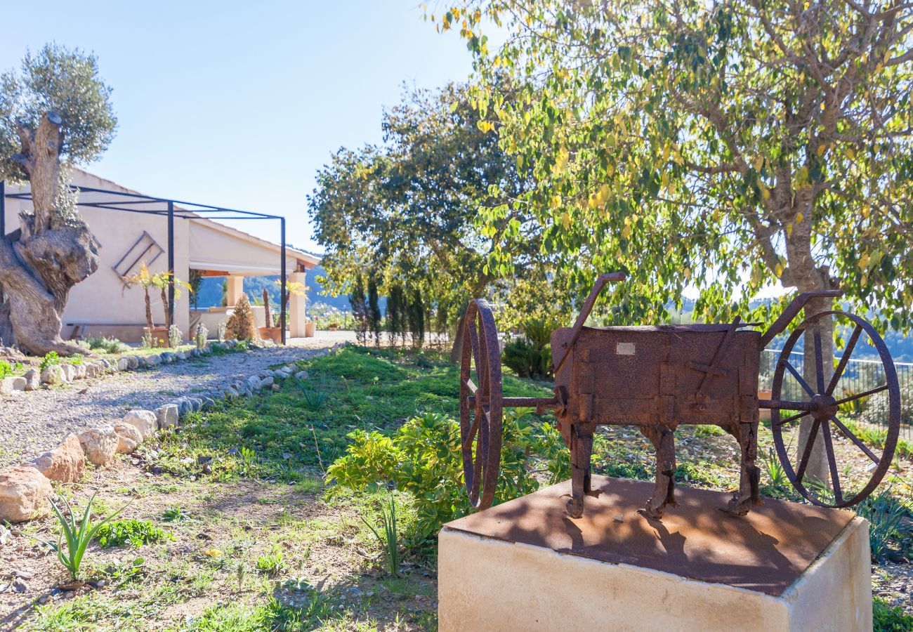 Villa in Andratx - Finca LLuisa