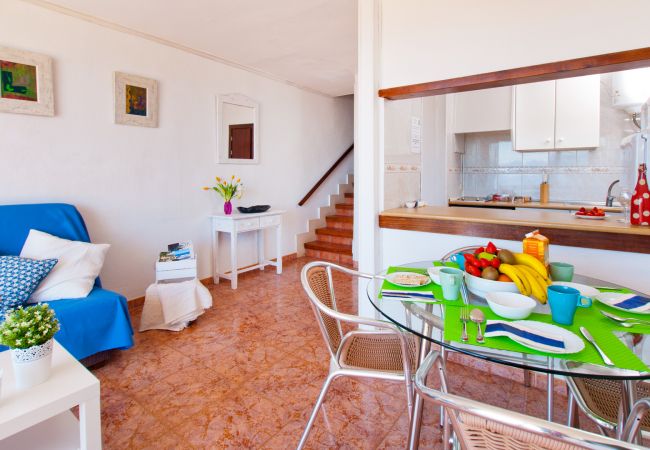 Ferienwohnung in Alcudia - Apartamento The Shell 2