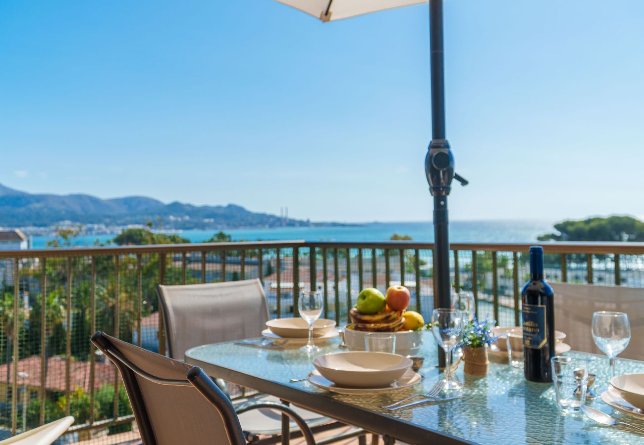 Ferienwohnung in Alcudia - Apartamento The Shell 2