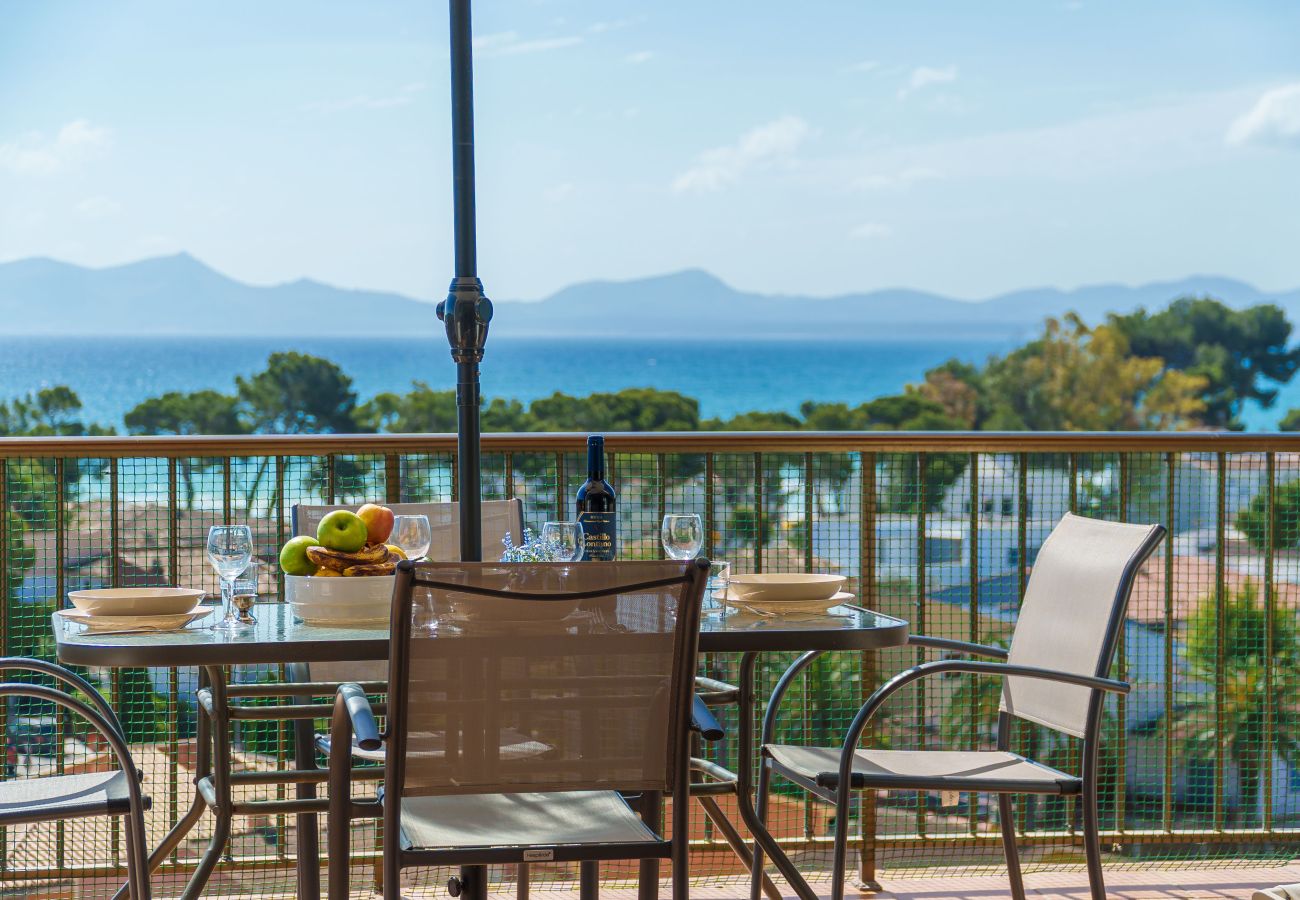 Ferienwohnung in Alcudia - Apartamento The Shell 2