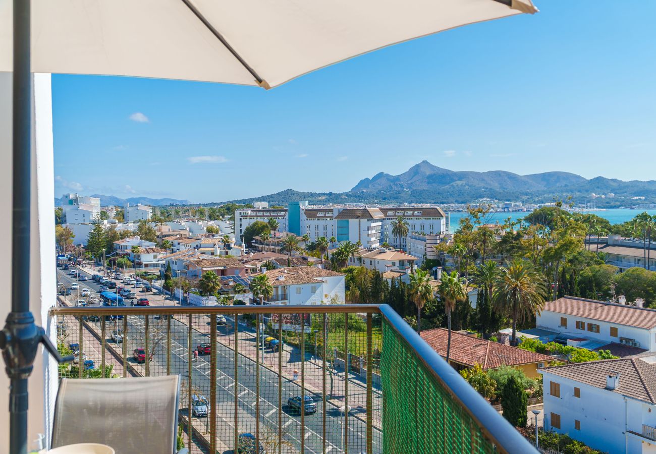 Ferienwohnung in Alcudia - Apartamento The Shell 2