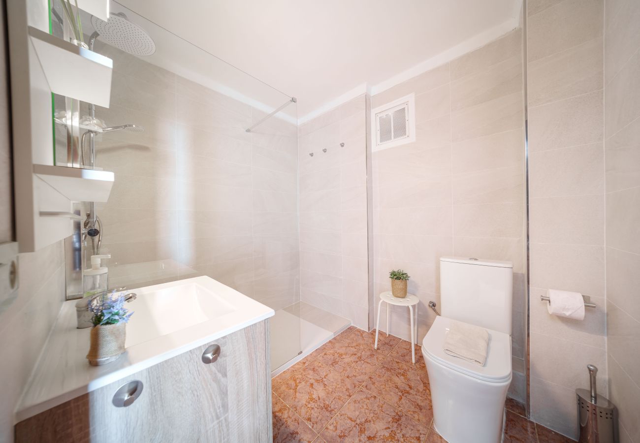 Ferienwohnung in Alcudia - Apartamento The Shell 2