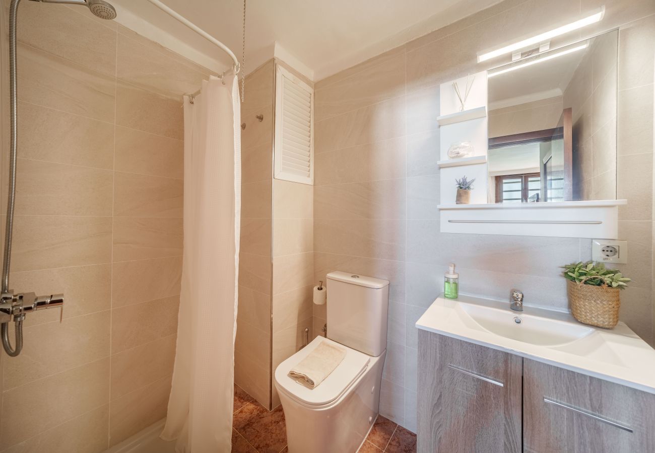 Ferienwohnung in Alcudia - Apartamento The Shell 2