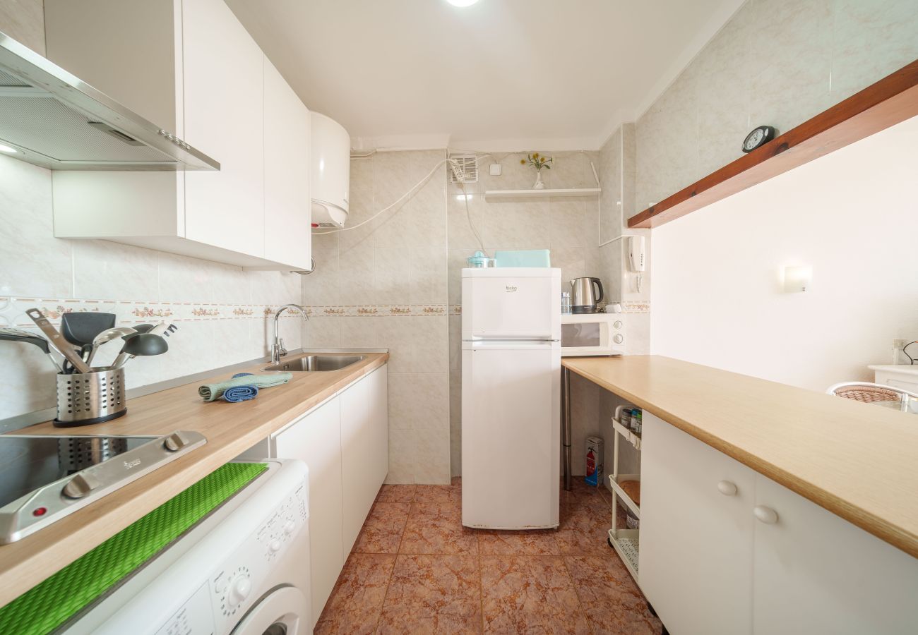 Ferienwohnung in Alcudia - Apartamento The Shell 2
