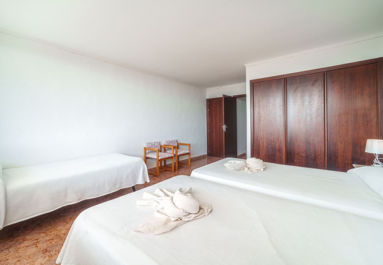 Ferienwohnung in Alcudia - Apartamento The Shell 2