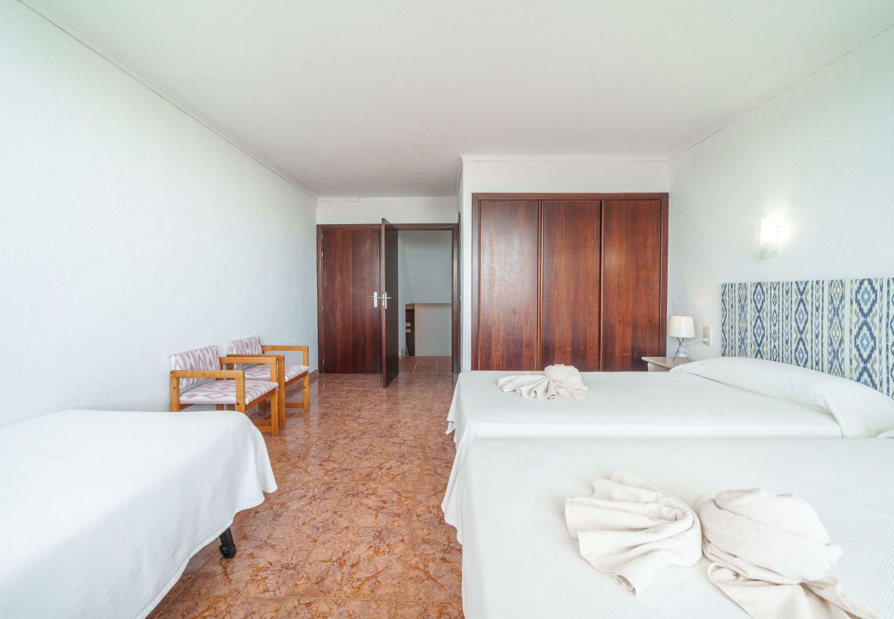 Ferienwohnung in Alcudia - Apartamento The Shell 2
