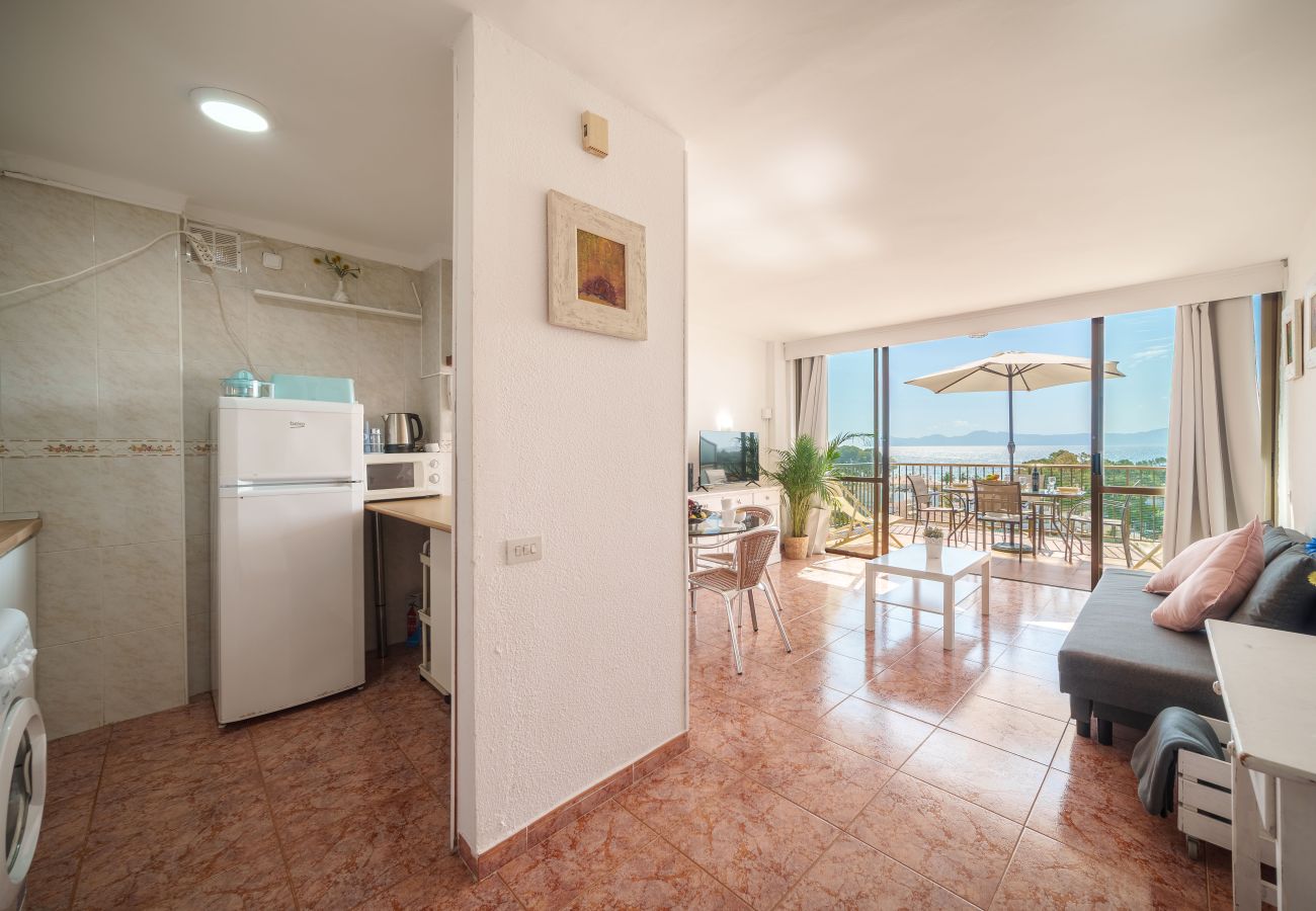 Ferienwohnung in Alcudia - Apartamento The Shell 2