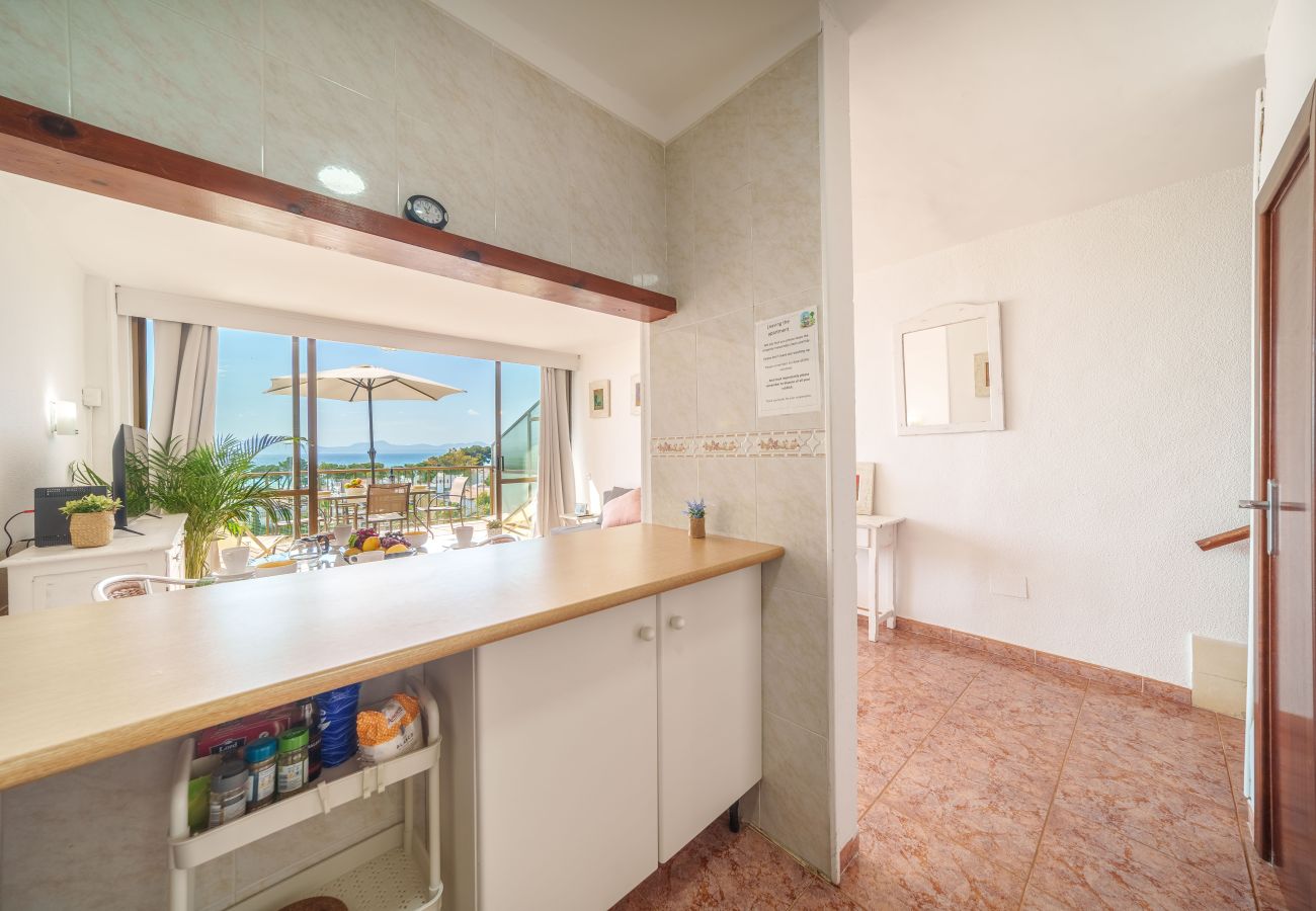 Ferienwohnung in Alcudia - Apartamento The Shell 2