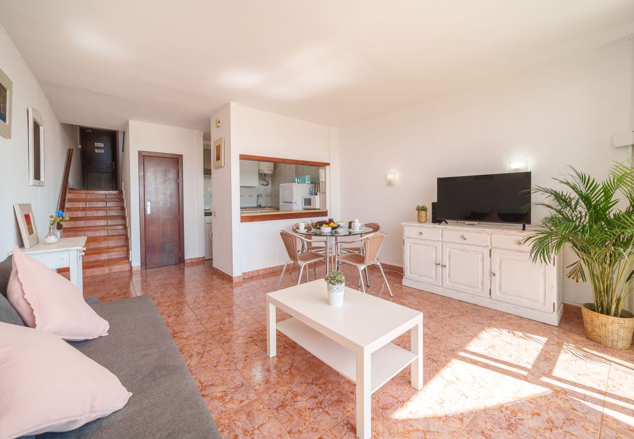 Ferienwohnung in Alcudia - Apartamento The Shell 2
