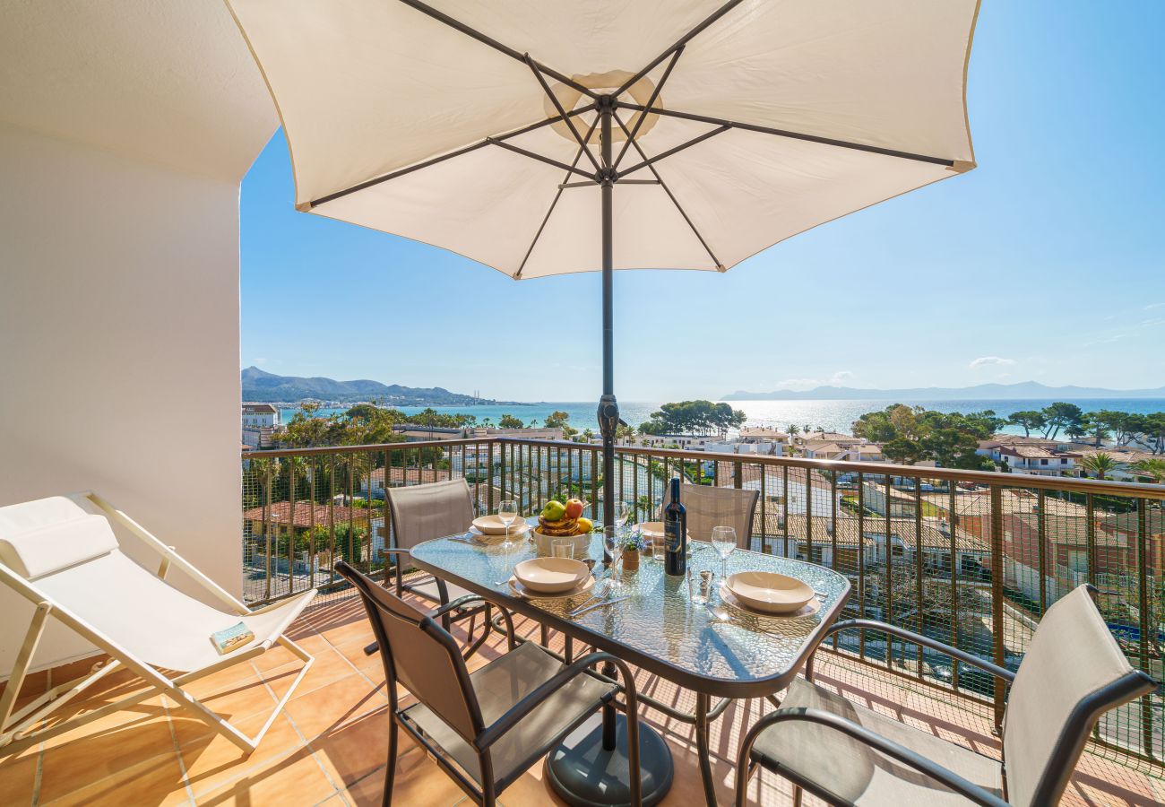 Ferienwohnung in Alcudia - Apartamento The Shell 2