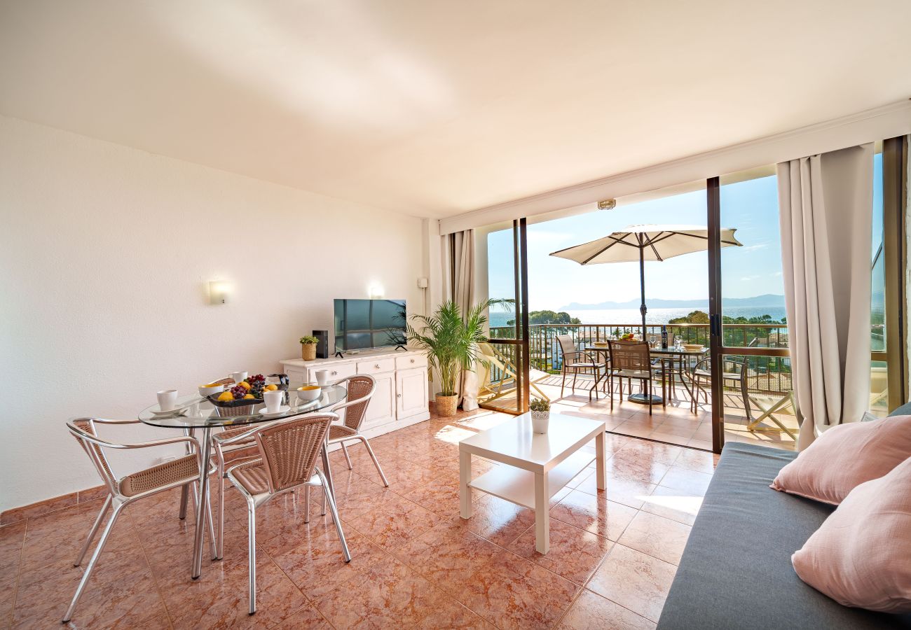 Ferienwohnung in Alcudia - Apartamento The Shell 2