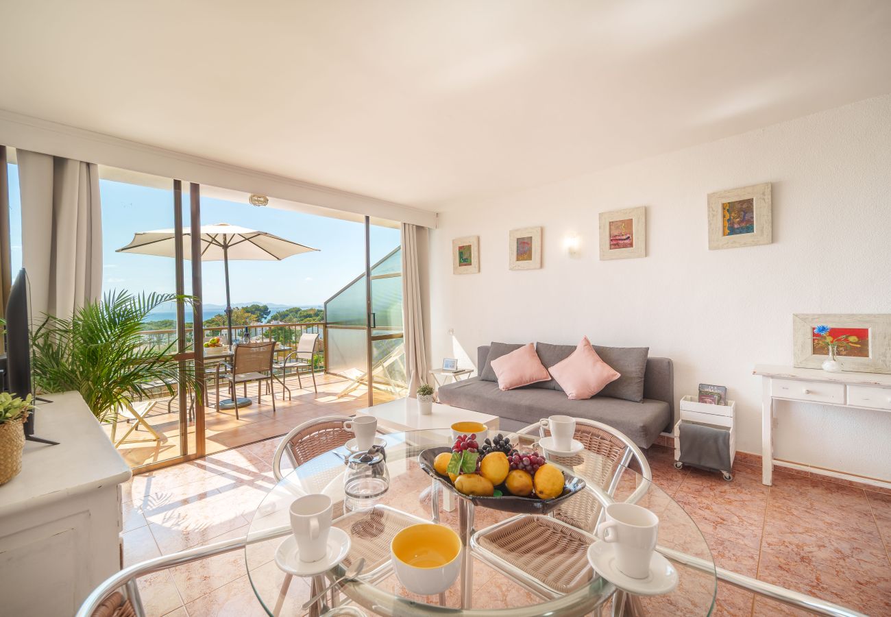 Ferienwohnung in Alcudia - Apartamento The Shell 2