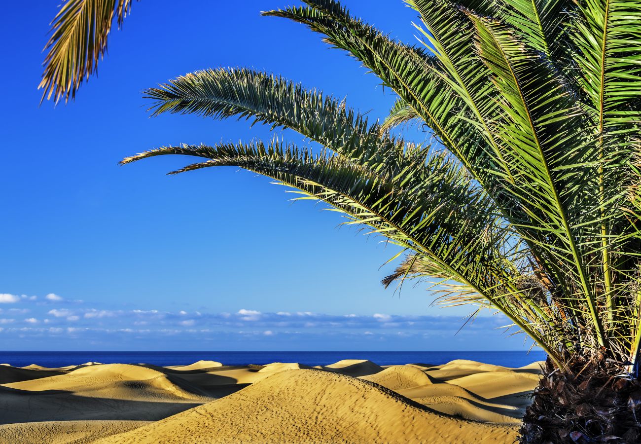 Ferienhaus in San Bartolomé de Tirajana - Las Adelfas South Beach 5 by CanariasGetaway