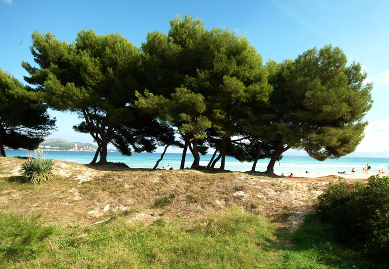 Ferienwohnung in Alcudia - Apartamento Countess Attic 2.3 (Sun of the Bay Vidalba 3)