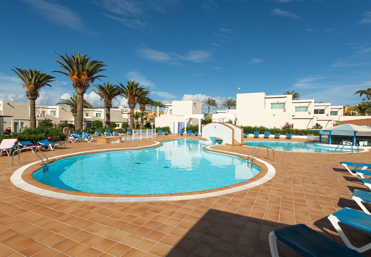 Ferienwohnung in Corralejo - Apartment with terrace, swimming pool in Corralejo - Home For Guest