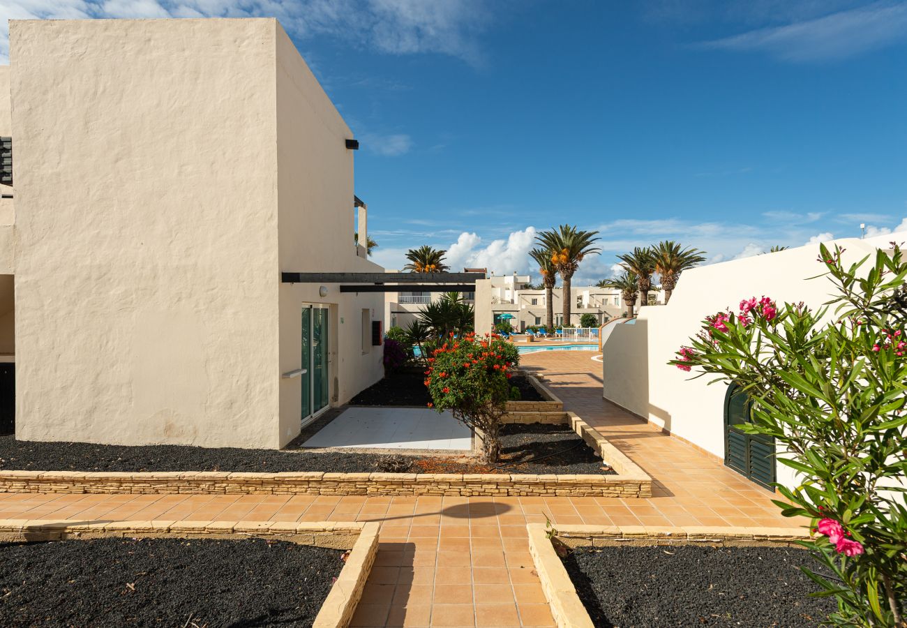 Ferienwohnung in Corralejo - Apartment with terrace, swimming pool in Corralejo - Home For Guest