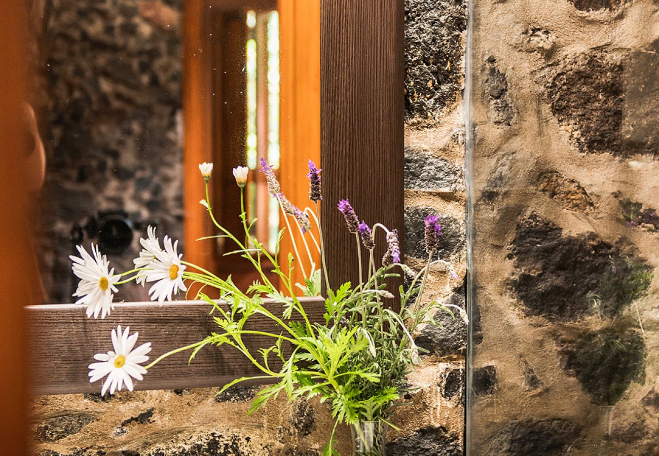 Ferienwohnung in Tacoronte - HomeForGuest  Gemütliche ländliche Wohnung El Romero mit großem Garten