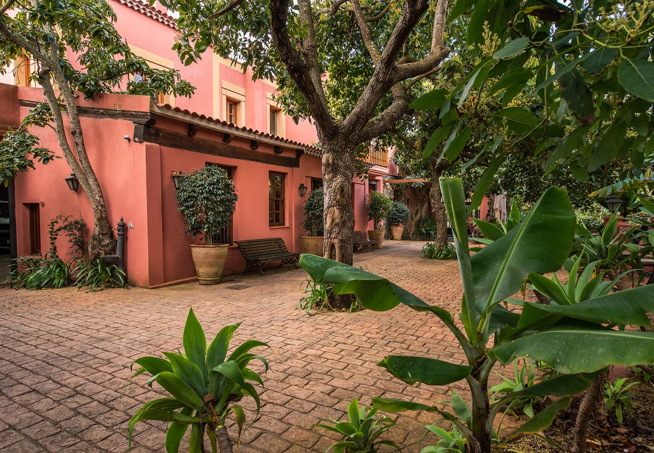 Ferienwohnung in Tacoronte - HomeForGuest Gemütliche Landwohnung La Lavanda inmitten der Natur