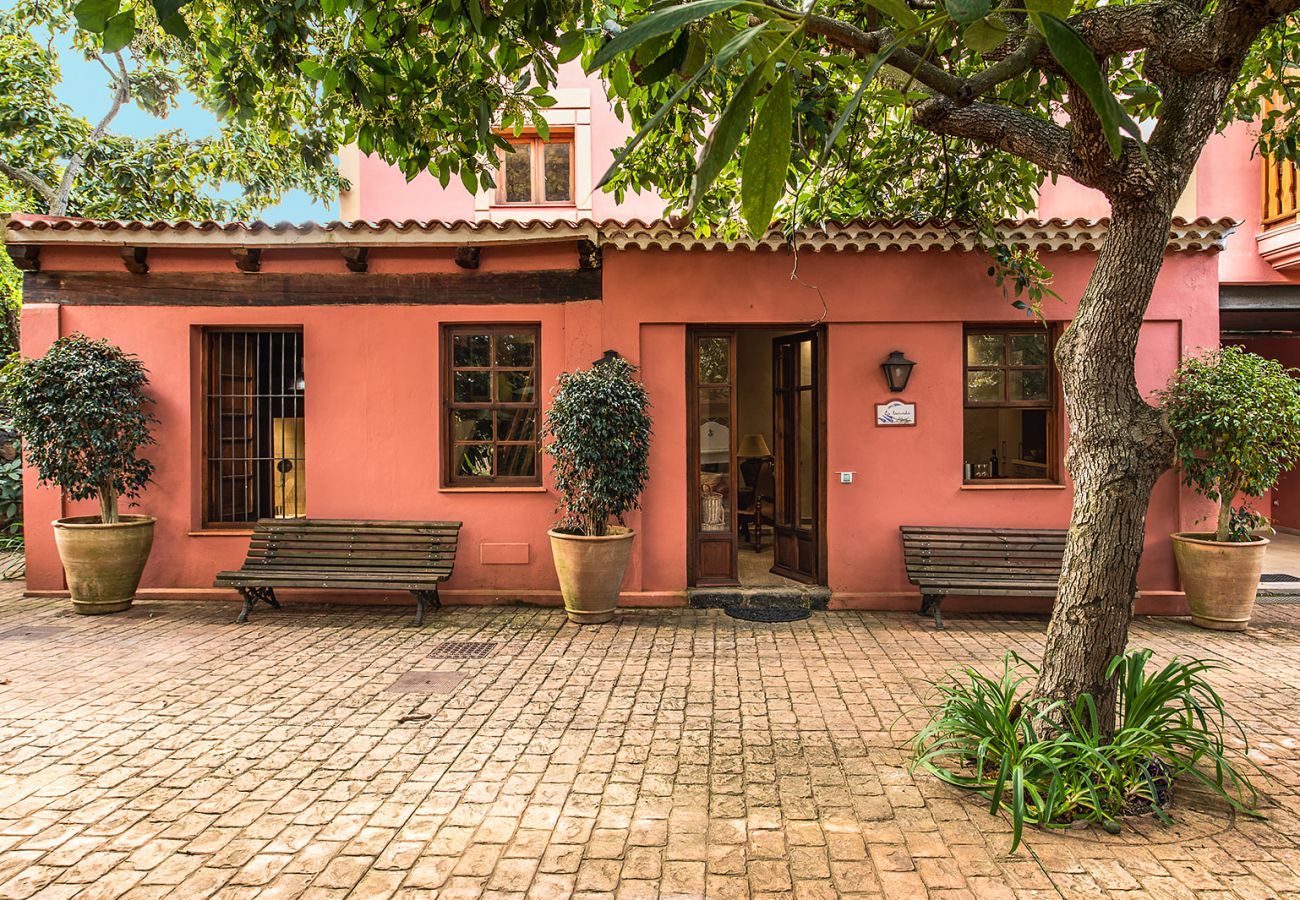 Ferienwohnung in Tacoronte - HomeForGuest Gemütliche Landwohnung La Lavanda inmitten der Natur