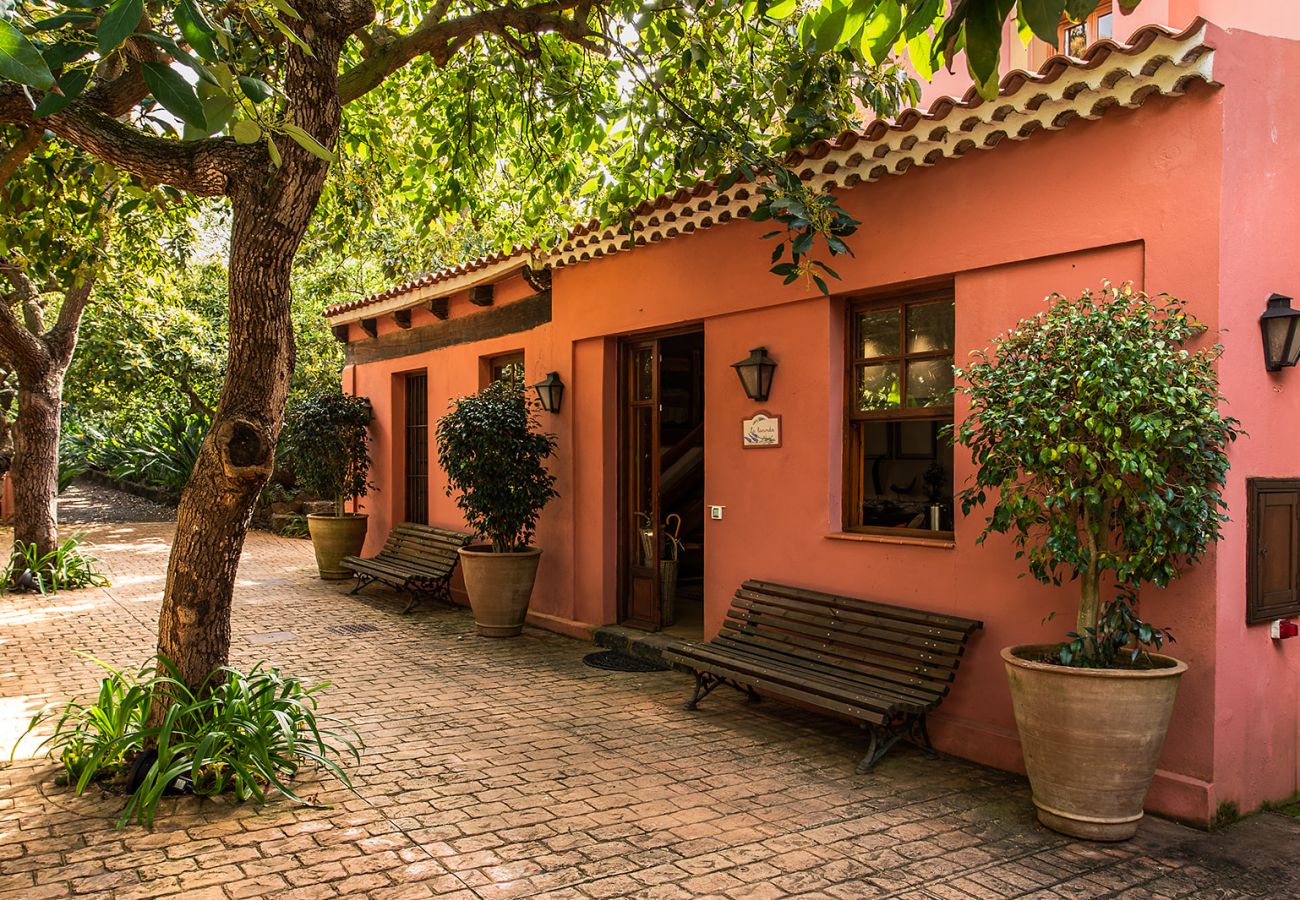 Ferienwohnung in Tacoronte - HomeForGuest Gemütliche Landwohnung La Lavanda inmitten der Natur