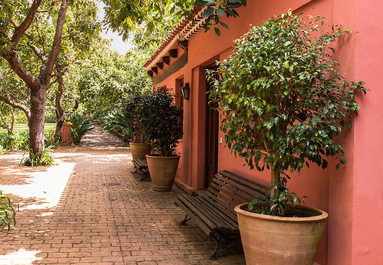 Ferienwohnung in Tacoronte - HomeForGuest Gemütliche Landwohnung La Lavanda inmitten der Natur