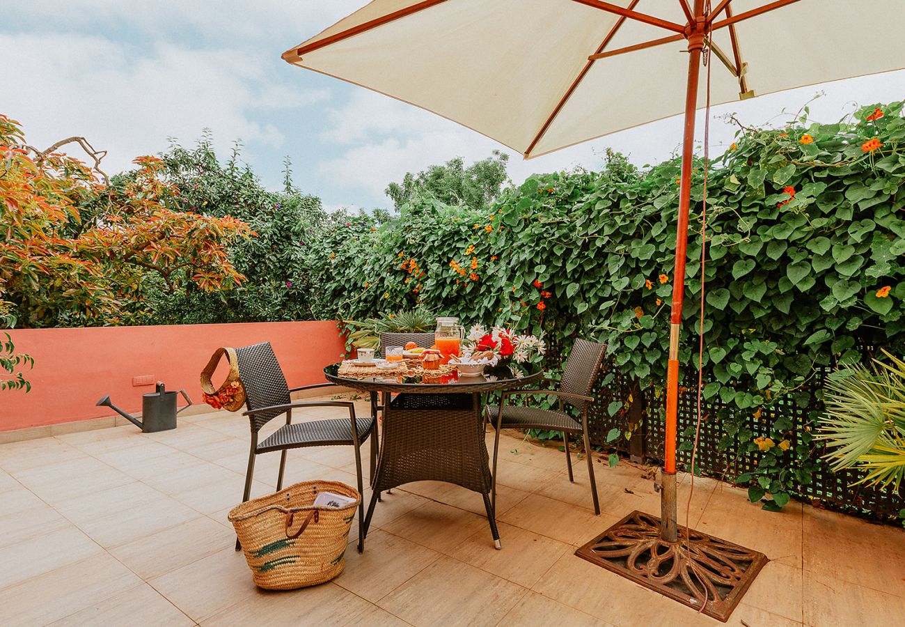 Landhaus in Tacoronte - HomeForGuest Casa Rural El Laurel mit Terrasse und großem Garten