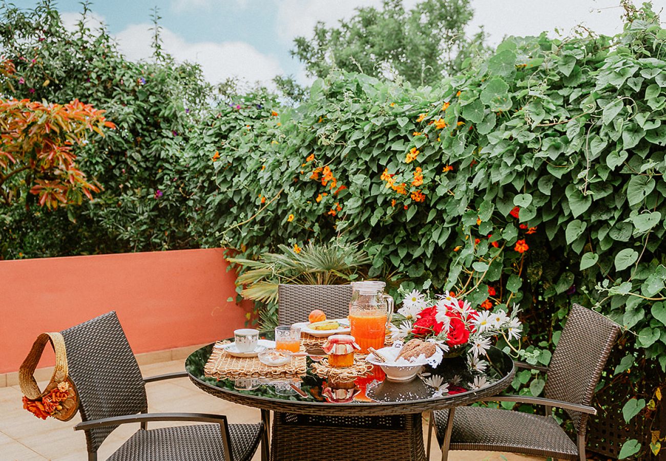 Landhaus in Tacoronte - HomeForGuest Casa Rural El Laurel mit Terrasse und großem Garten
