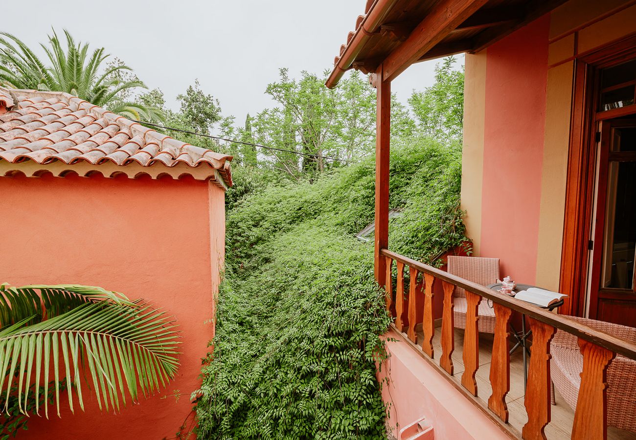 Landhaus in Tacoronte - HomeForGuest Casa Rural El Laurel mit Terrasse und großem Garten
