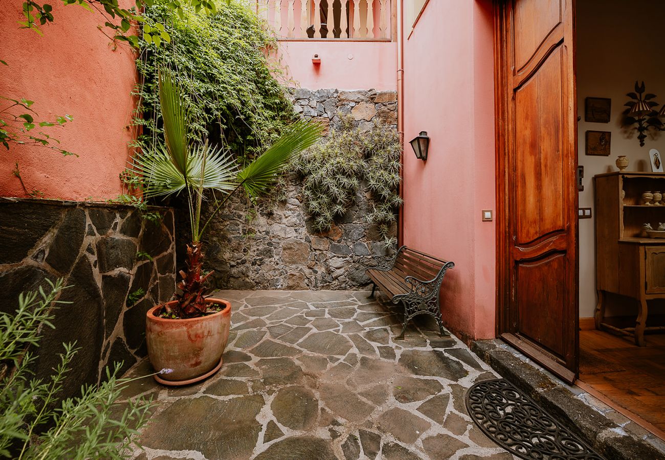 Landhaus in Tacoronte - HomeForGuest Casa Rural El Laurel mit Terrasse und großem Garten