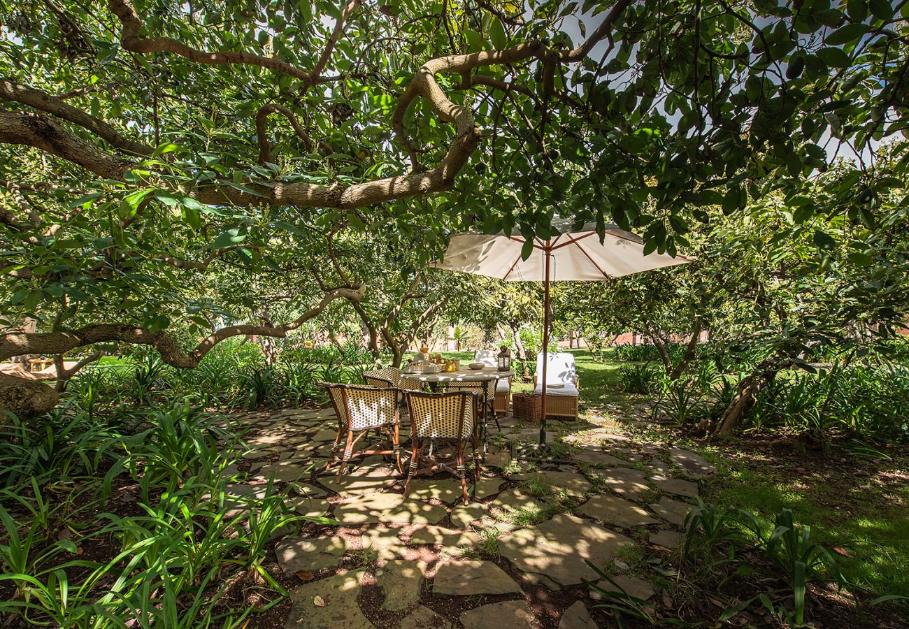Landhaus in Tacoronte - HomeForGuest Casa Rural El Laurel mit Terrasse und großem Garten