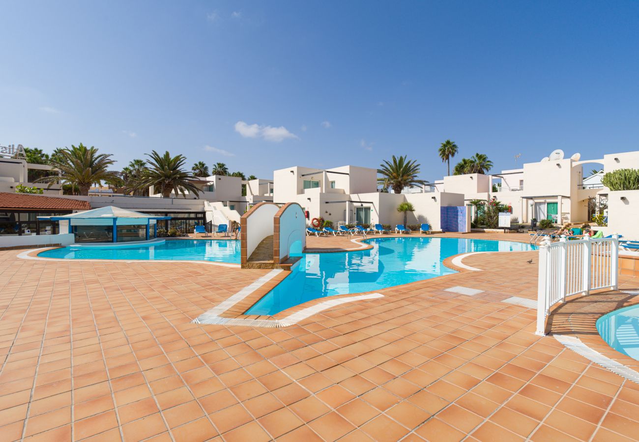 Ferienwohnung in Corralejo - Modern apartment. Swimming pool and beachfront. Corralejo