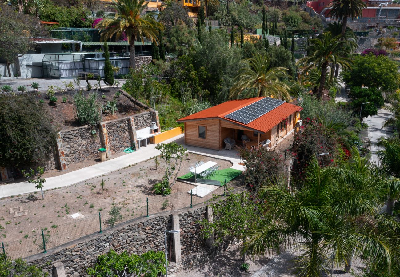 Finca in Telde - Casa África Loft - Finca Cruz Mayor