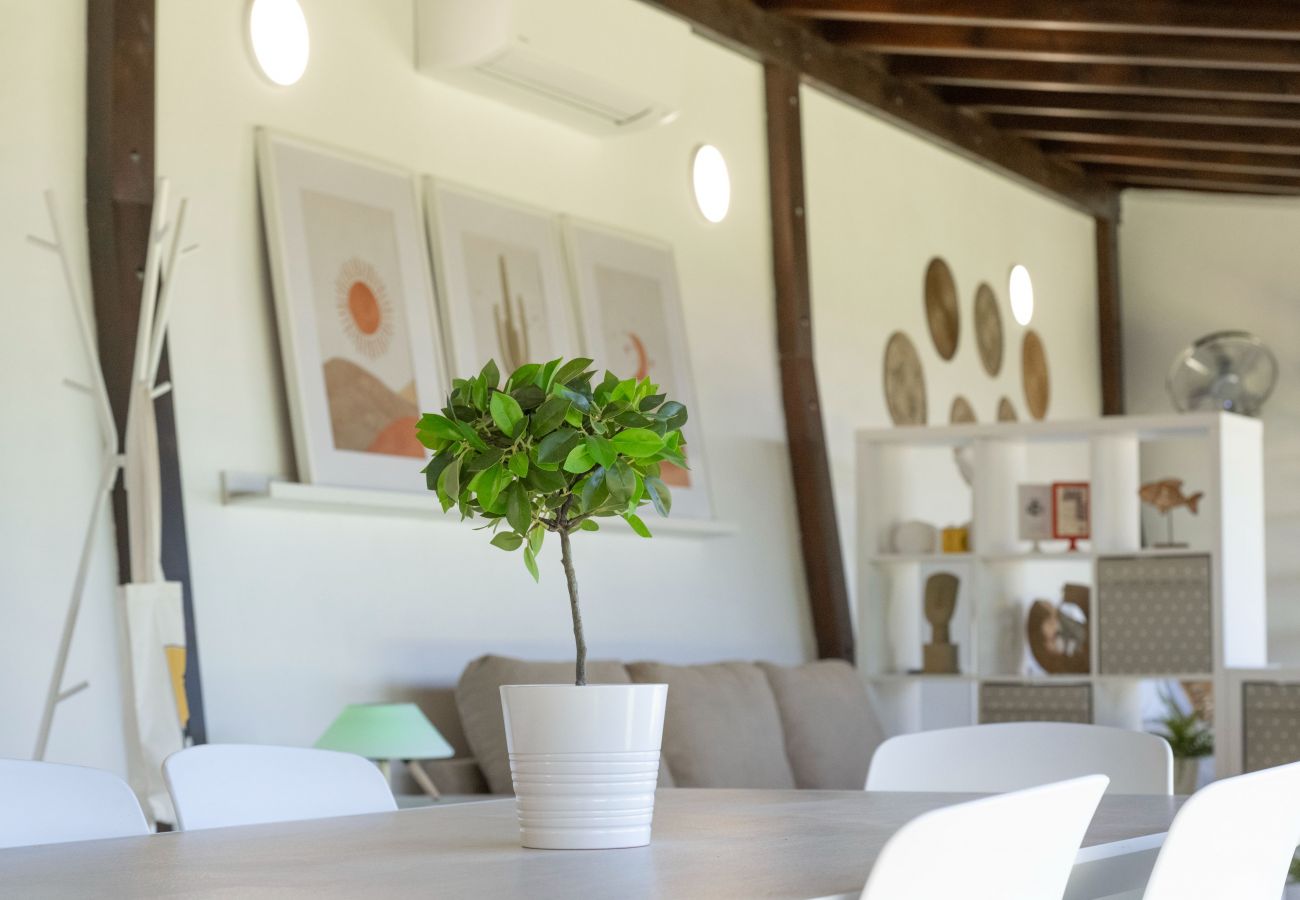Studio in Tenerife - modern loft recently renovated in Santa Cruz de Tenerife 02