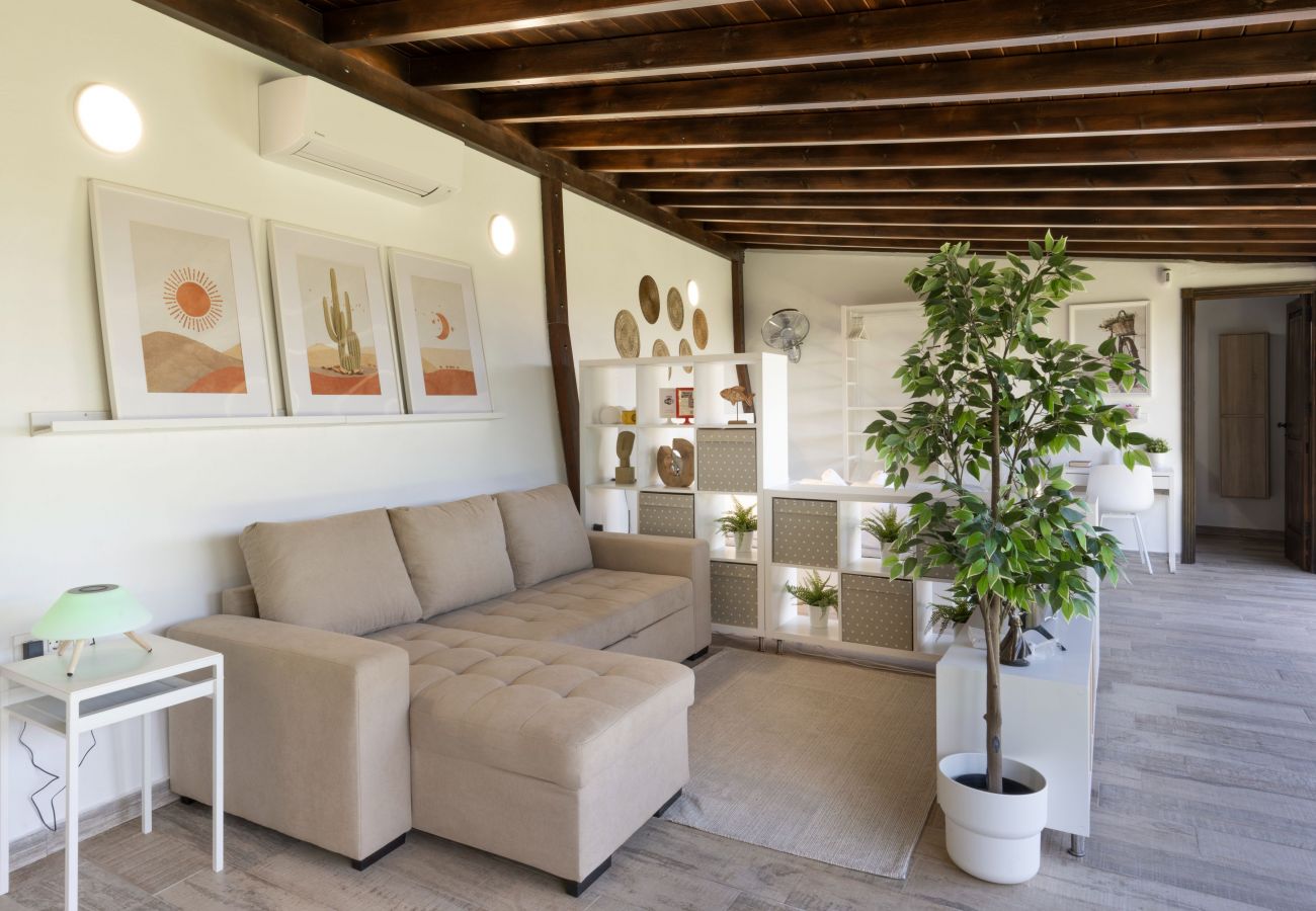 Studio in Tenerife - modern loft recently renovated in Santa Cruz de Tenerife 02