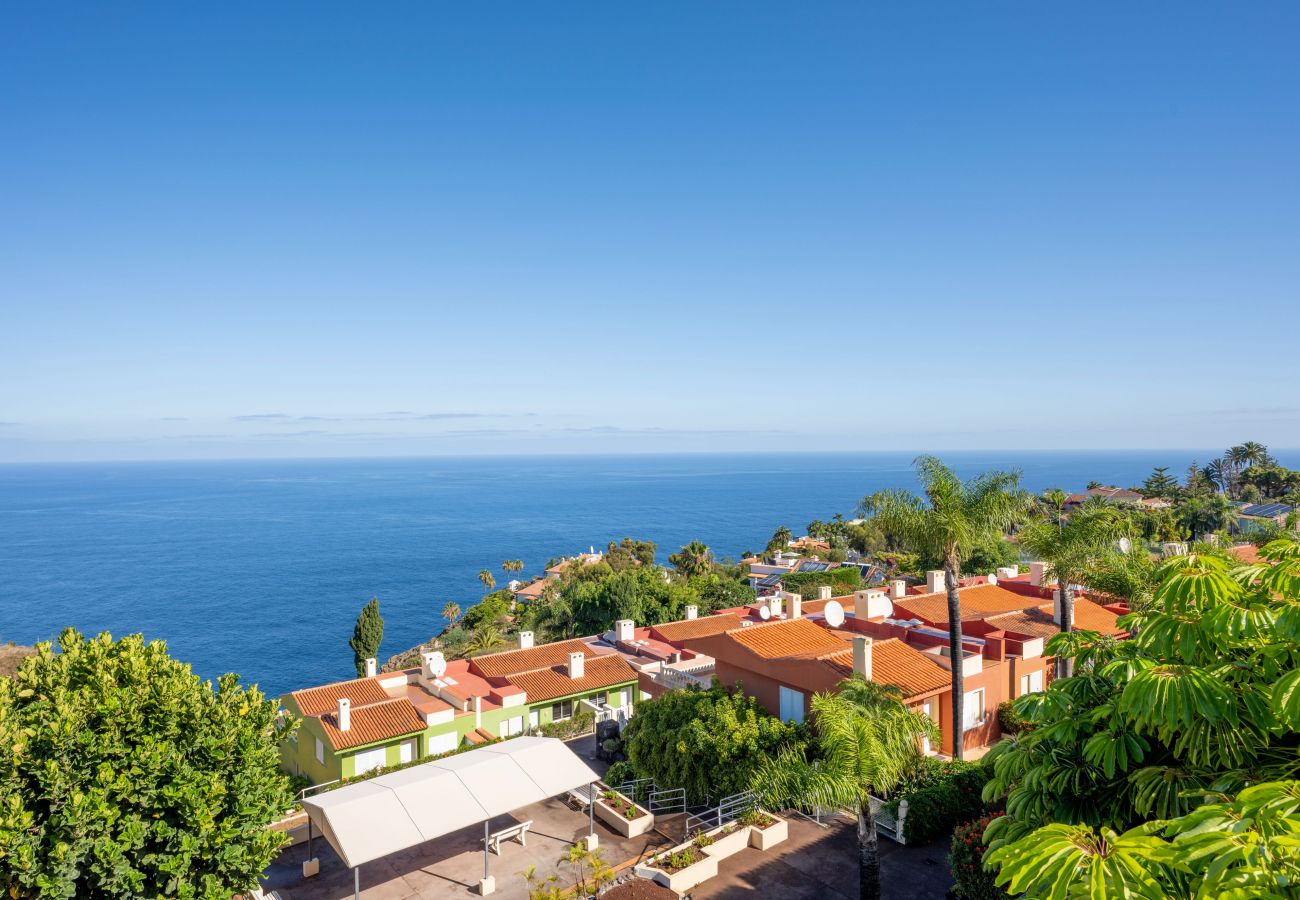 Ferienwohnung in Santa Ursula - Cosy flat with sea views in Santa Ursula