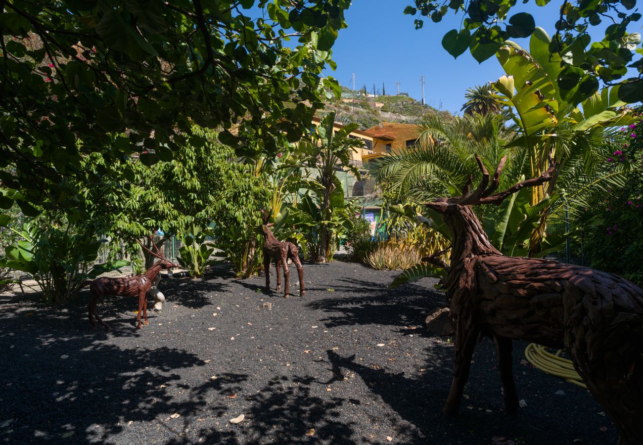 Finca in Telde - Rustic Home By CanariasGetaway