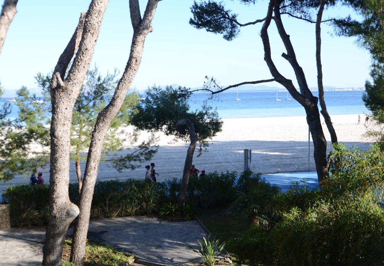 Apartamento en Alcúdia - Minervas Dream Attic