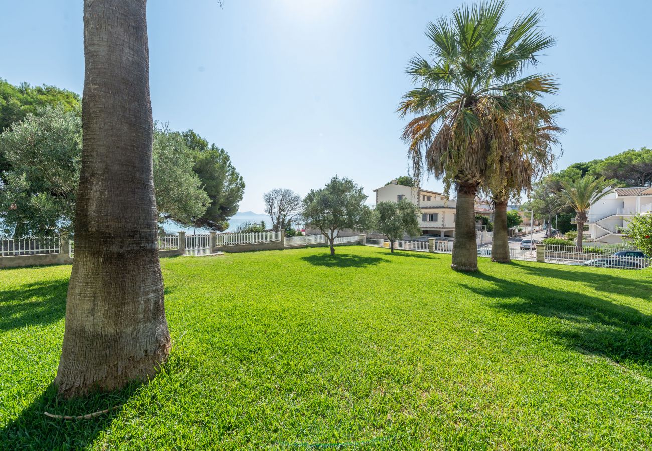 Apartamento en Alcúdia - Countess Garden 2.1 (Sun of the Bay Vidalba 1)
