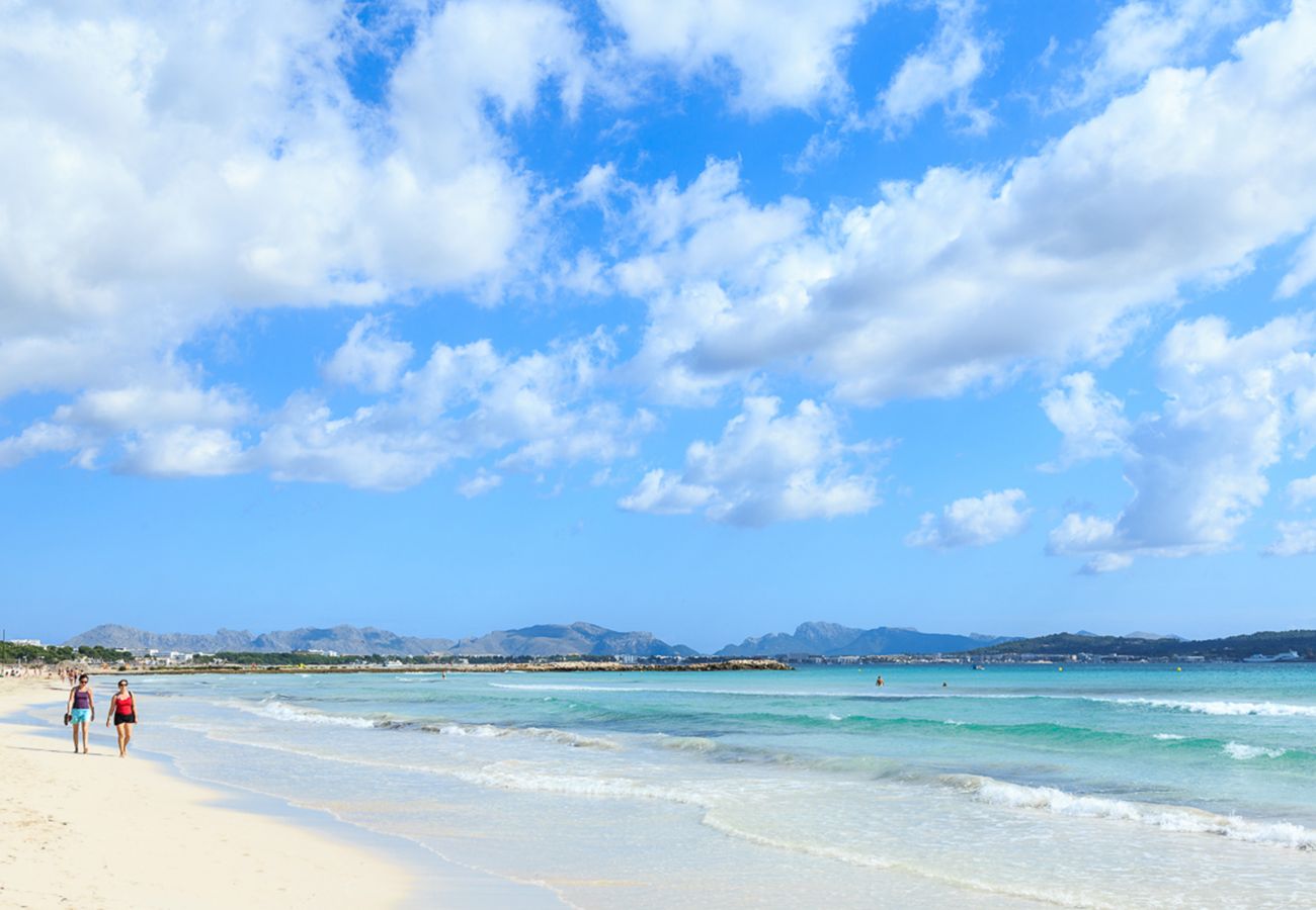 Apartamento en Alcúdia - Countess Attic 3.3 (Sun of the Bay 3)