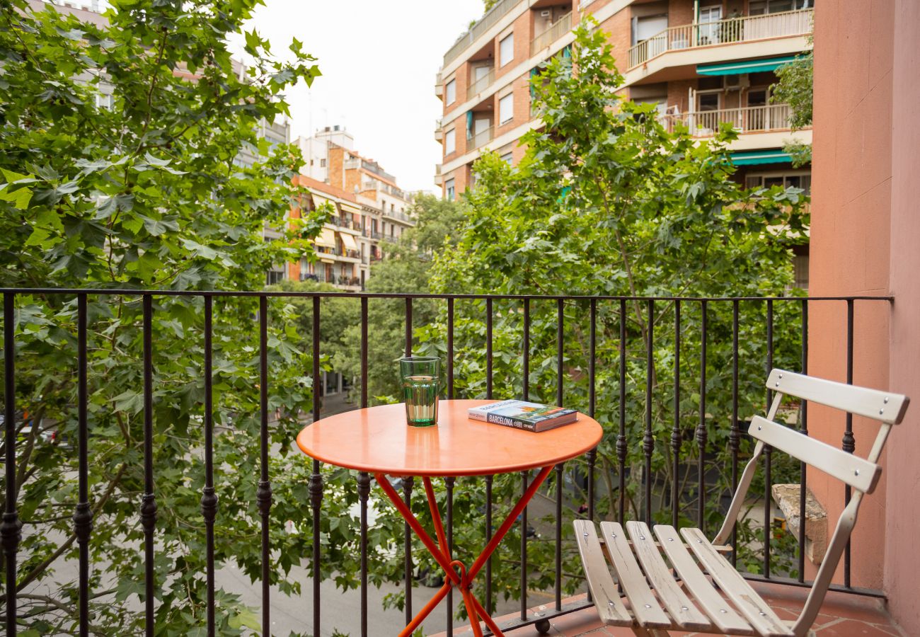 Apartamento en Barcelona - CASANOVA ELEGANCE, piso excelente, amplio, luminoso y tranquilo. Barcelona centro