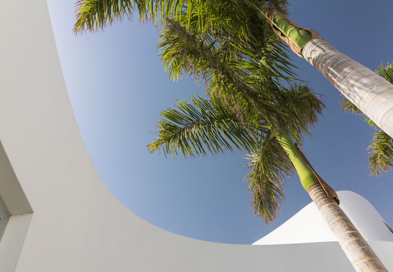 Villa en Adeje - Villa Oasis del Sur