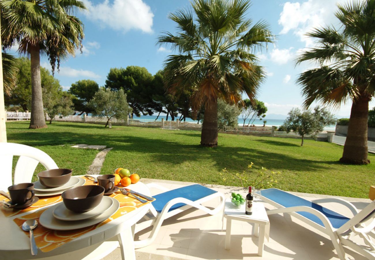Apartamento en Alcúdia - Apartamento Countess Garden 3.1 (Sun of the Bay 1)