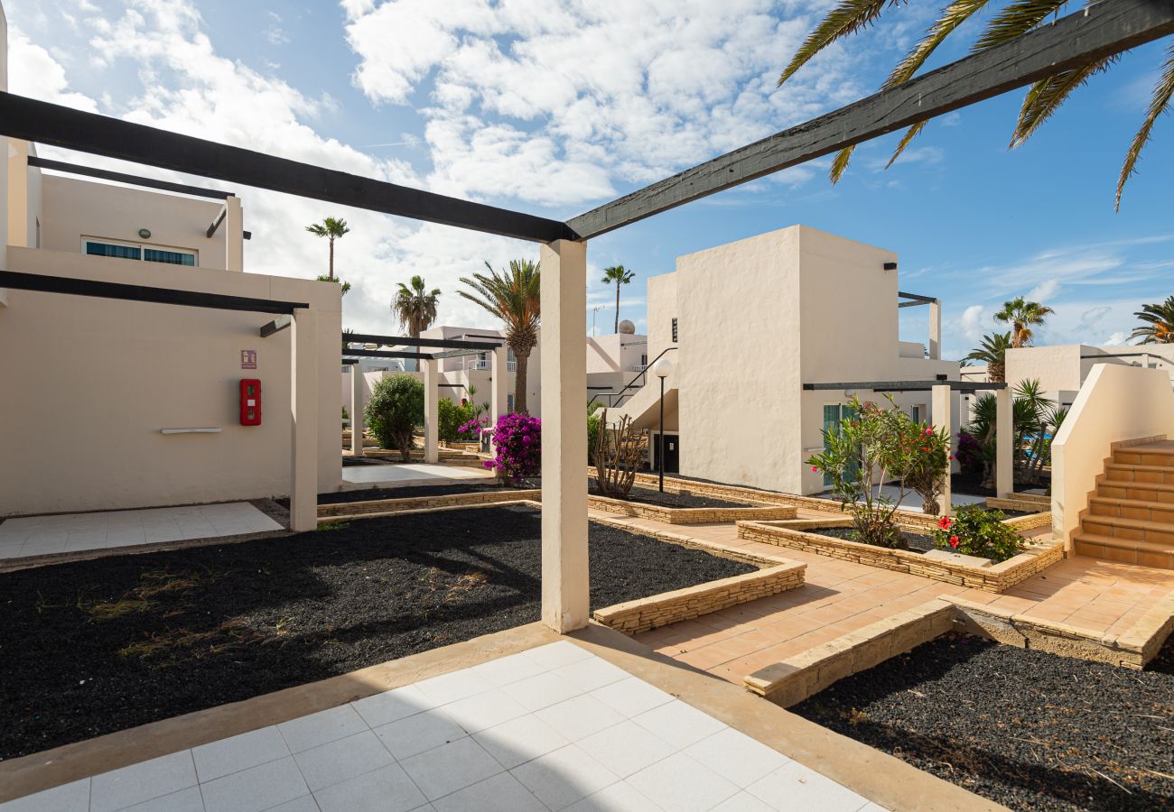 Apartahotel en Corralejo - Apartamento, terraza, piscina y en primera línea de playa. Corralejo - Home For Guest