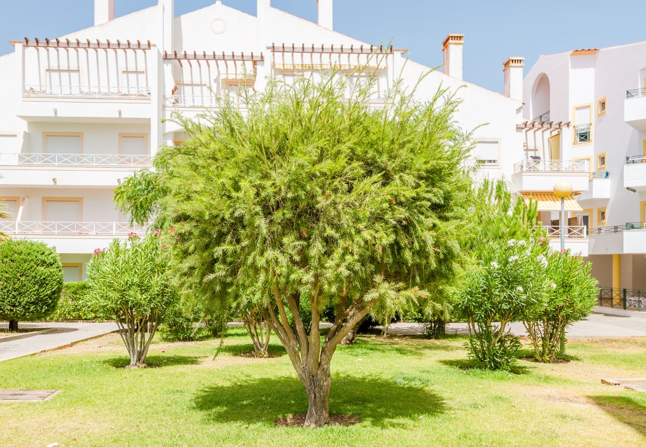Apartamento en Albufeira - Alfamar